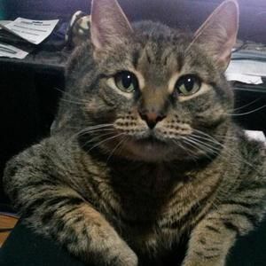 Meet your Posher, Christine